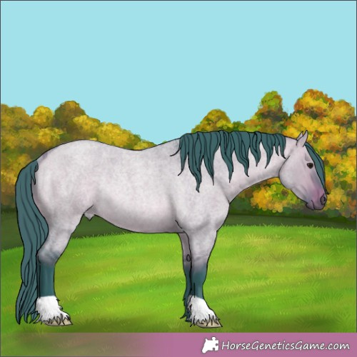 Horse Color:Watercolor Bay Roan Dun Rabicano 