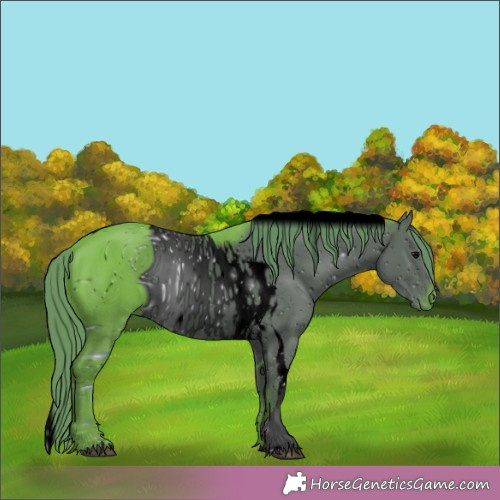 Horse Color:ERROR: UNKNOWN ANOMALY