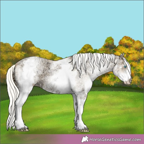 Horse Color:White Spotted Silver Smoky Black Ice Pearl Appaloosa 