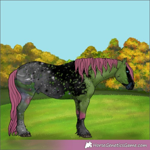 Horse Color:ERROR: UNKNOWN ANOMALY