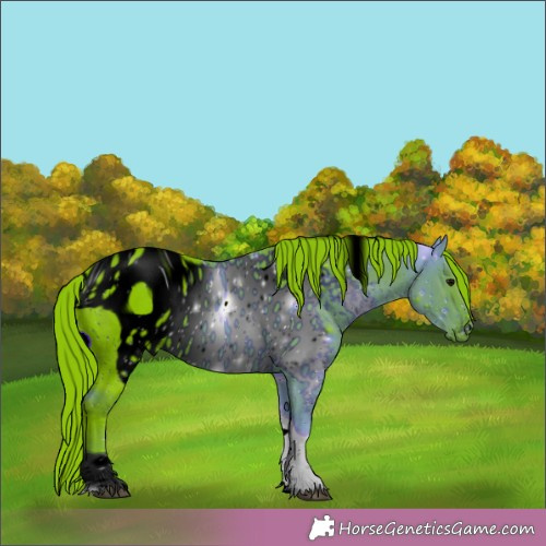 Horse Color:ERROR: UNKNOWN ANOMALY