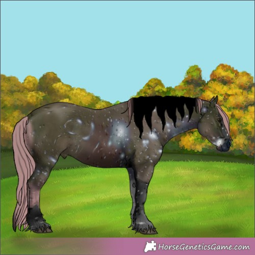 Horse Color:ERROR: UNKNOWN ANOMALY