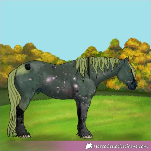 Horse Color:ERROR: UNKNOWN ANOMALY