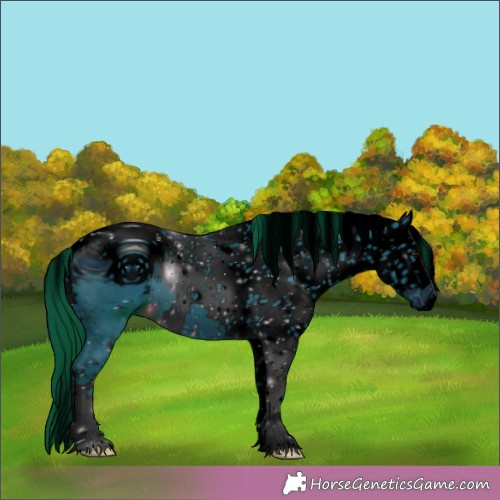 Horse Color:ERROR: UNKNOWN ANOMALY