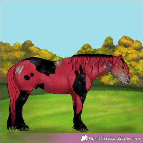 Horse Color:ERROR: UNKNOWN ANOMALY