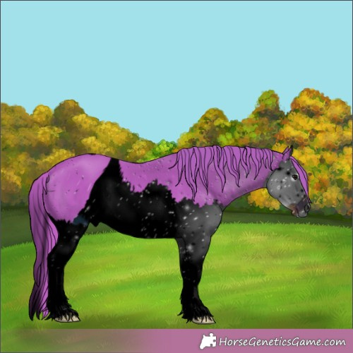 Horse Color:ERROR: UNKNOWN ANOMALY