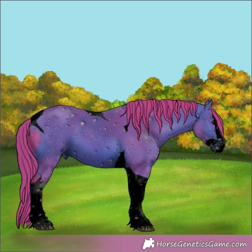 Horse Color:ERROR: UNKNOWN ANOMALY