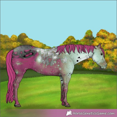 Horse Color:ERROR: UNKNOWN ANOMALY