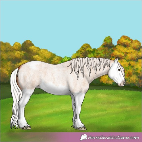 Horse Color: Silver Bay Roan Dun Splash Snowcap 