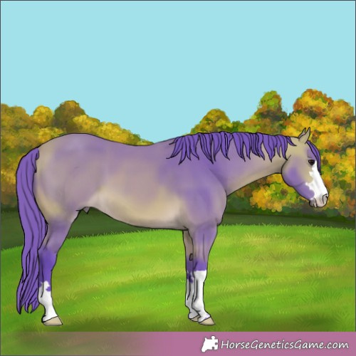 Horse Color:Watercolor Buckskin 