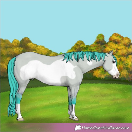 Horse Color:Watercolor Bay Dun Frame 