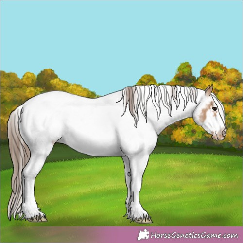 Horse Color: White Spotted Bay Dun Frame Snowcap Rabicano 