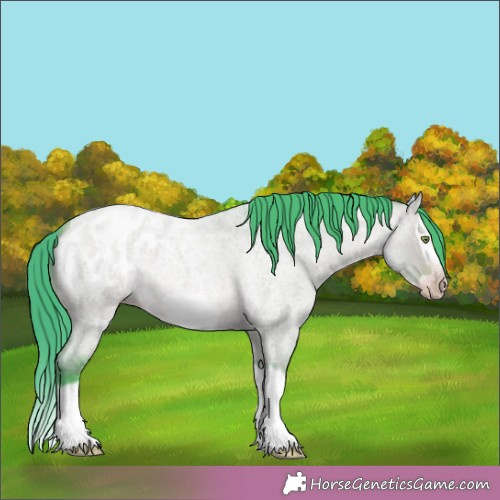 Horse Color:Gray Watercolor Amber Champagne Roan Dun Splash Frame Appaloosa Rabicano 