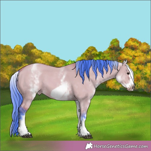 Horse Color:Watercolor White Spotted Bay Dun Frame 