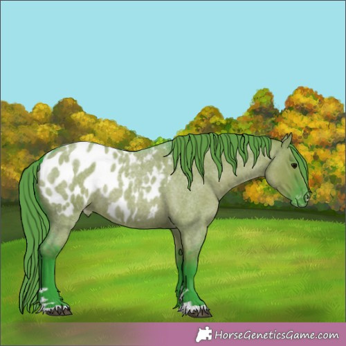 Horse Color:Watercolor Grullo Roan Appaloosa Rabicano