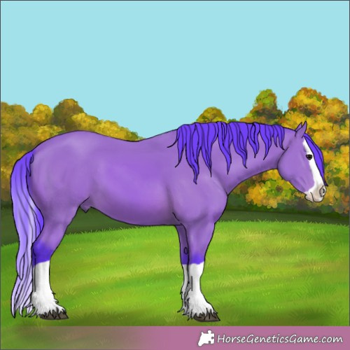 Horse Color:Watercolor Bay Splash