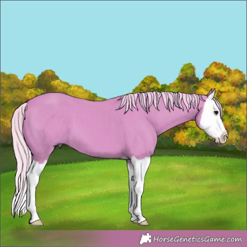 Horse Color:Watercolor Silver Grullo Splash 