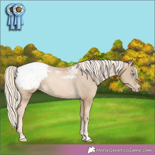 Horse Color:Chocolate Palomino Pearl Mushroom Appaloosa 