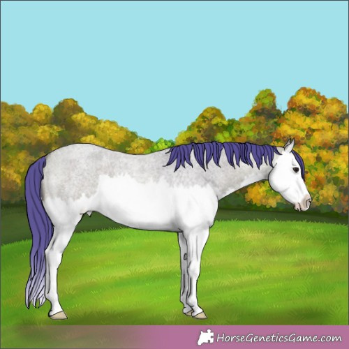 Horse Color:Watercolor Bay Roan Dun Splash 