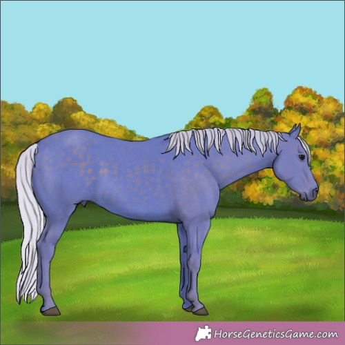 Horse Color:Watercolor Silver Black 