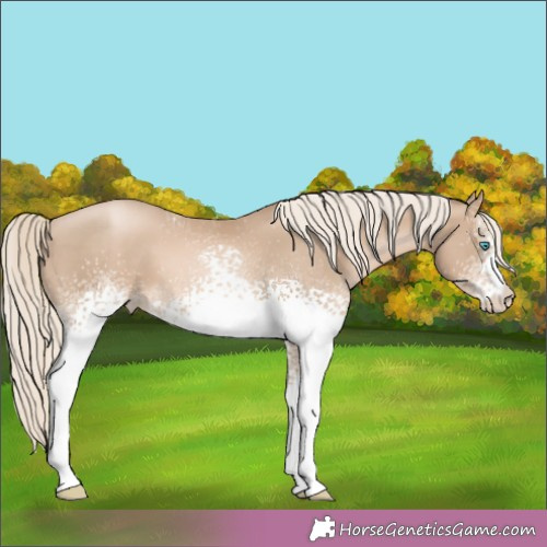 Horse Color:White Spotted Chocolate Palomino Pearl 