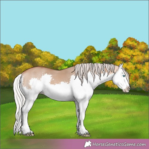 Horse Color:White Spotted Silver Bay Dun Splash 