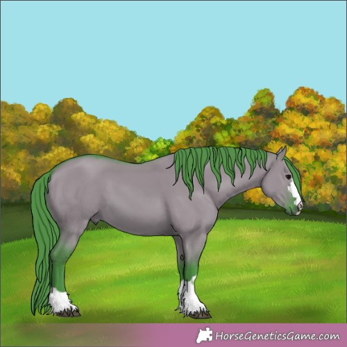 Horse Color:Watercolor Grullo 