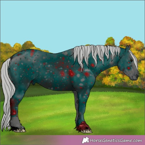 Horse Color:ERROR: UNKNOWN ANOMALY
