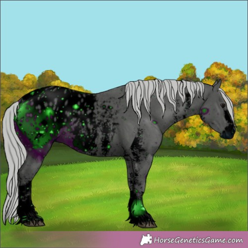 Horse Color:ERROR: UNKNOWN ANOMALY