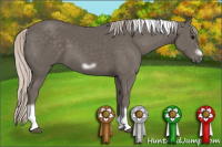 Horse Color:Silver Black Tobiano Frame