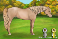 Horse Color:Chestnut Pearl