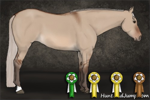 Horse Color: Silver Bay Dun 