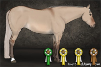 Horse Color:Silver Bay Dun 