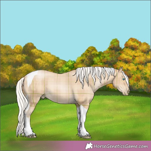 Horse Color:Plaid  Silver Buckskin Pearl Tobiano 