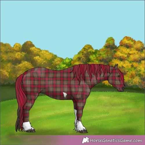 Horse Color: Plaid  Liver Chestnut Tobiano 