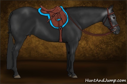 Horse Color:Gray Black 