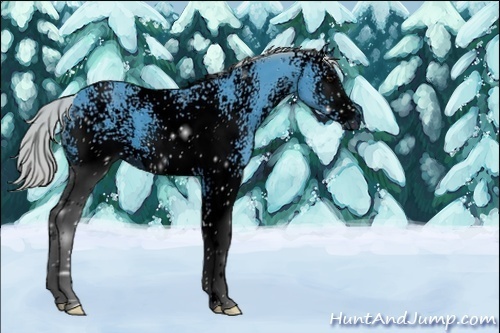 Horse Color:ERROR: UNKNOWN ANOMALY