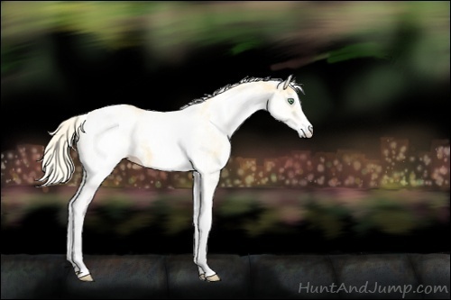 Horse Color:White Spotted Gold Cream Champagne 