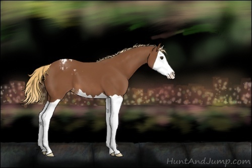Horse Color:Chestnut Splash Varnish 