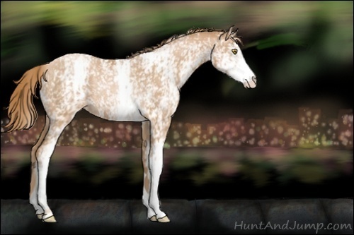 Horse Color:White Spotted Chestnut Pearl Rabicano 