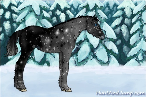 Horse Color:ERROR: UNKNOWN ANOMALY