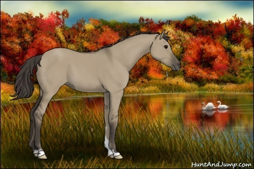 Horse Color:Smoky Grullo