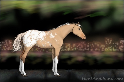 Horse Color:Silver Bay Dun Tobiano Blanket Rabicano