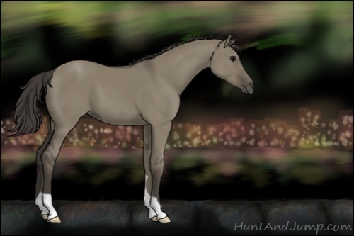 Horse Color:Smoky Grullo 
