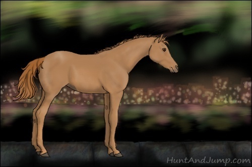 Horse Color:Unknown 