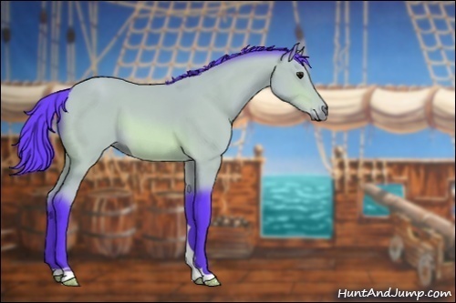 Horse Color:Watercolor Bay 