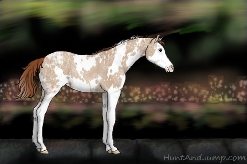 Horse Color:White Spotted Red Dun Ice Splash Rabicano 