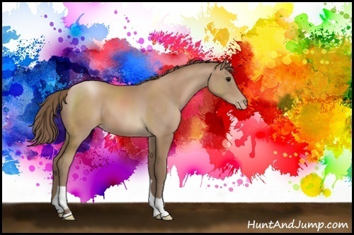 Horse Color:Black Pearl 