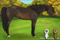 Horse Color:Gray Buckskin 