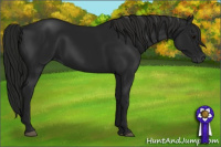 Horse Color:Gray Brown 
